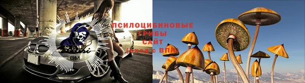 наркотики Медногорск
