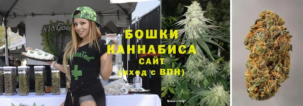 дмт Мегион