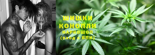 дмт Мегион
