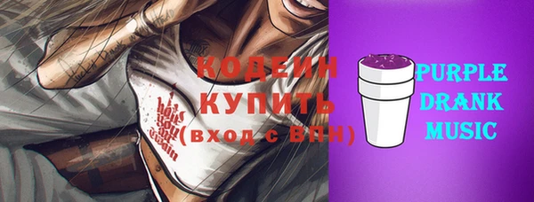 дмт Мегион