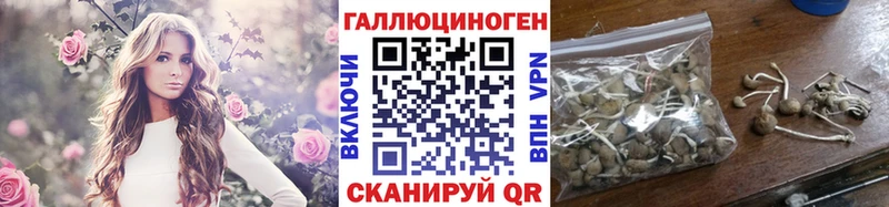 Галлюциногенные грибы GOLDEN TEACHER Всеволожск