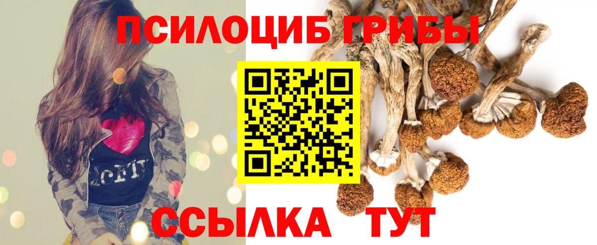 Псилоцибиновые грибы ЛСД  Всеволожск 